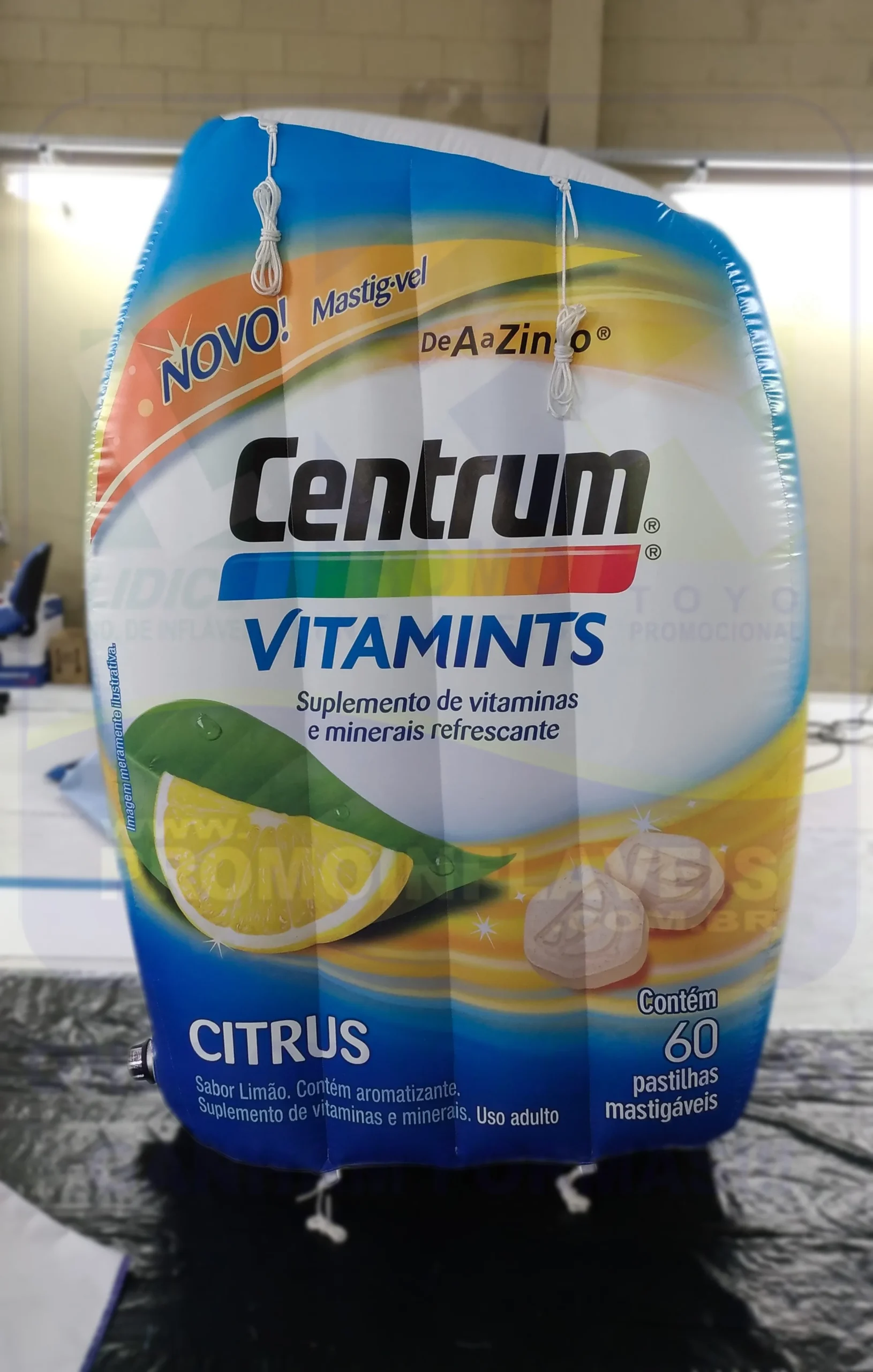 Promo Infláveis Réplica Gigante