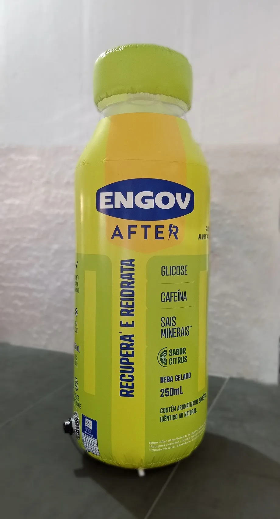 Promo Infláveis Réplica Gigante