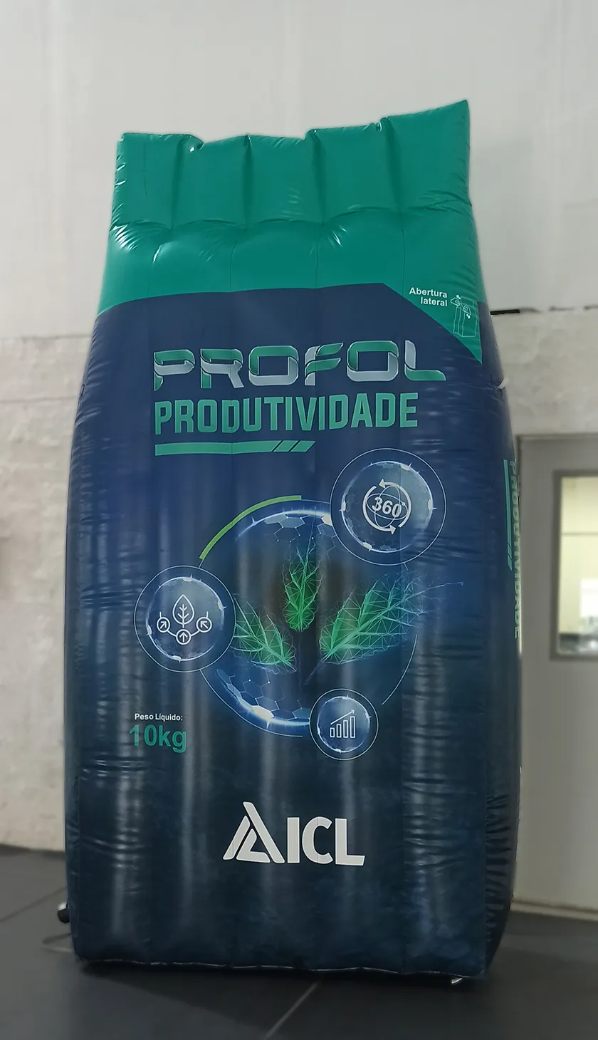 Promo Infláveis Réplica Gigante