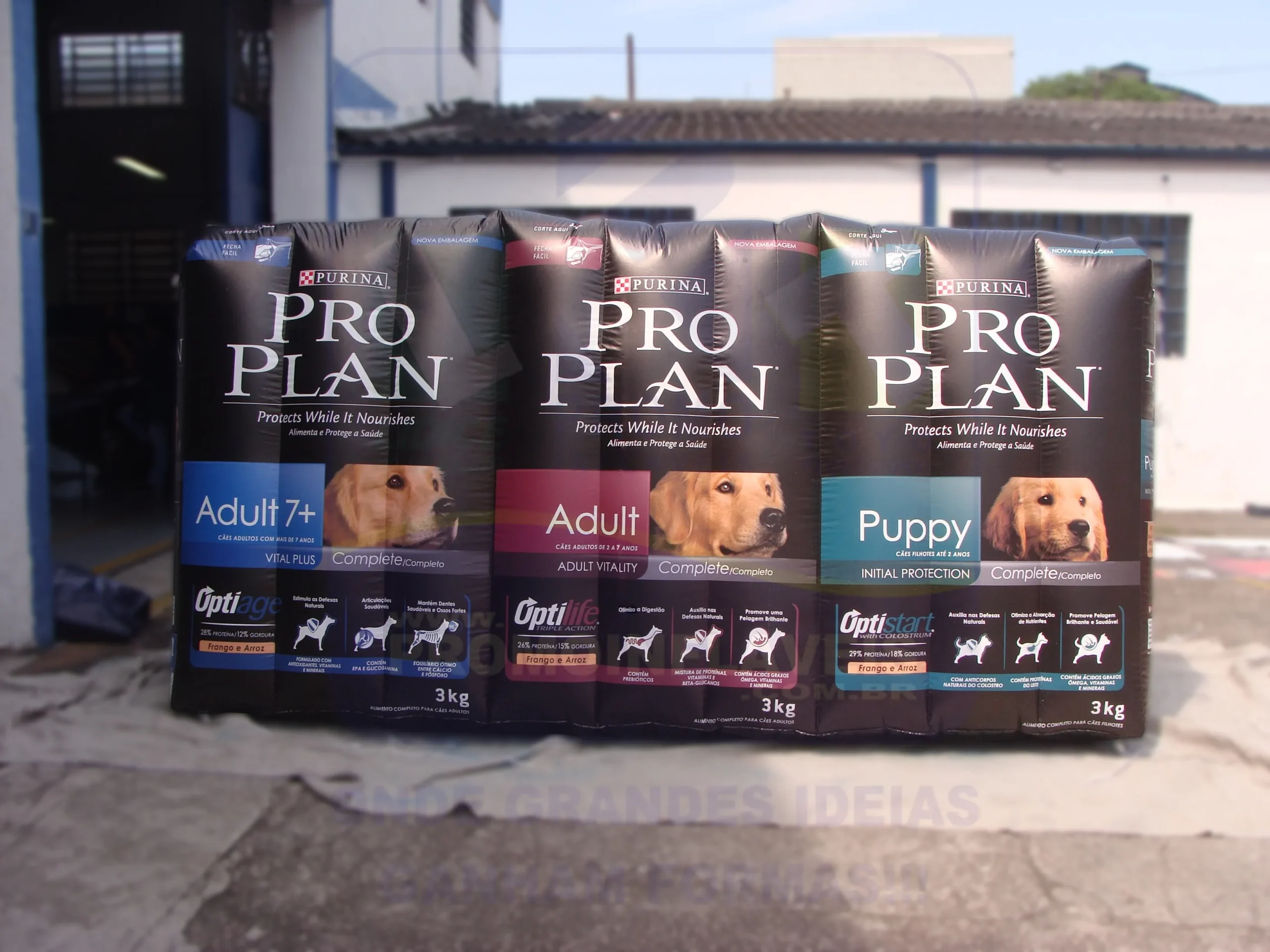 Promo Infláveis Réplica Gigante