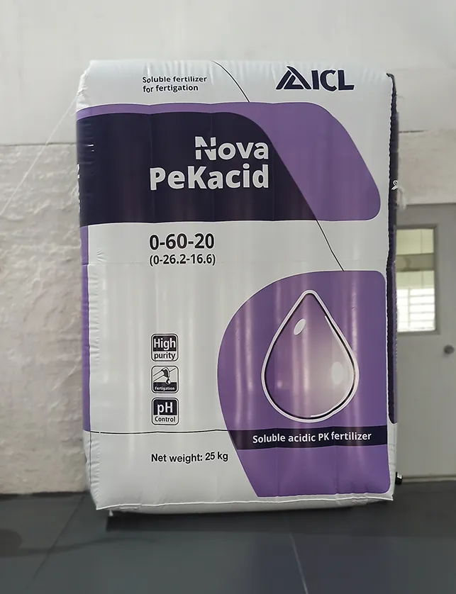 Promo Infláveis Réplica Gigante